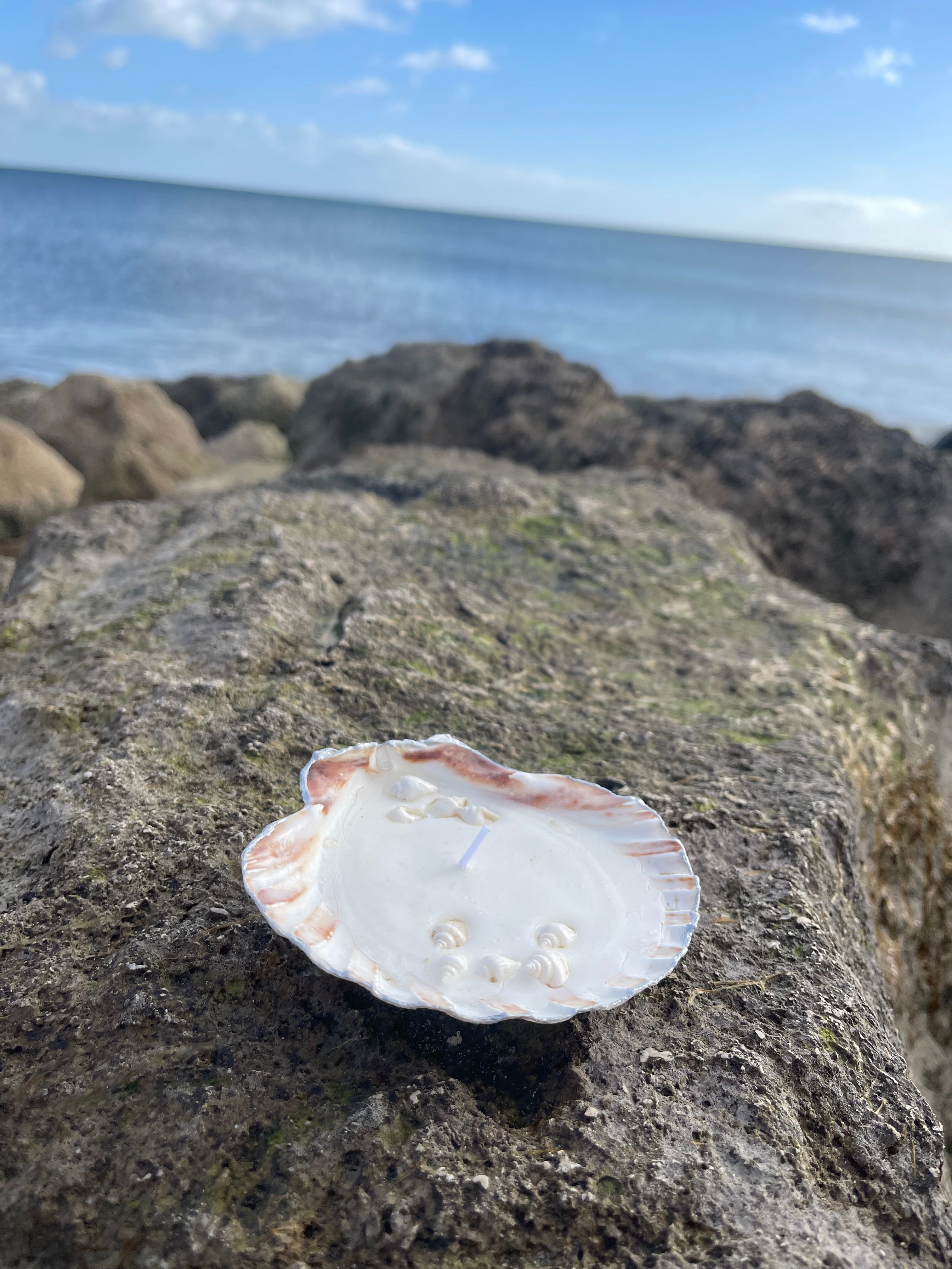 Scallop shell candle