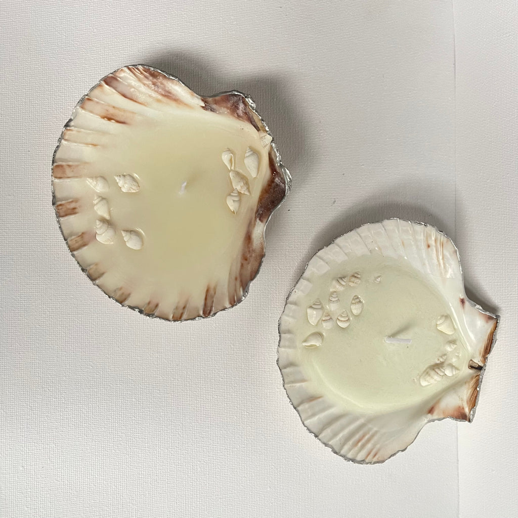 Scallop shell candle