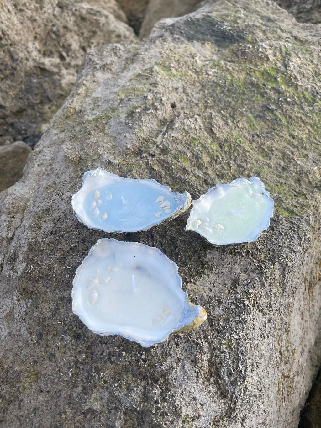 Oyster shell candle