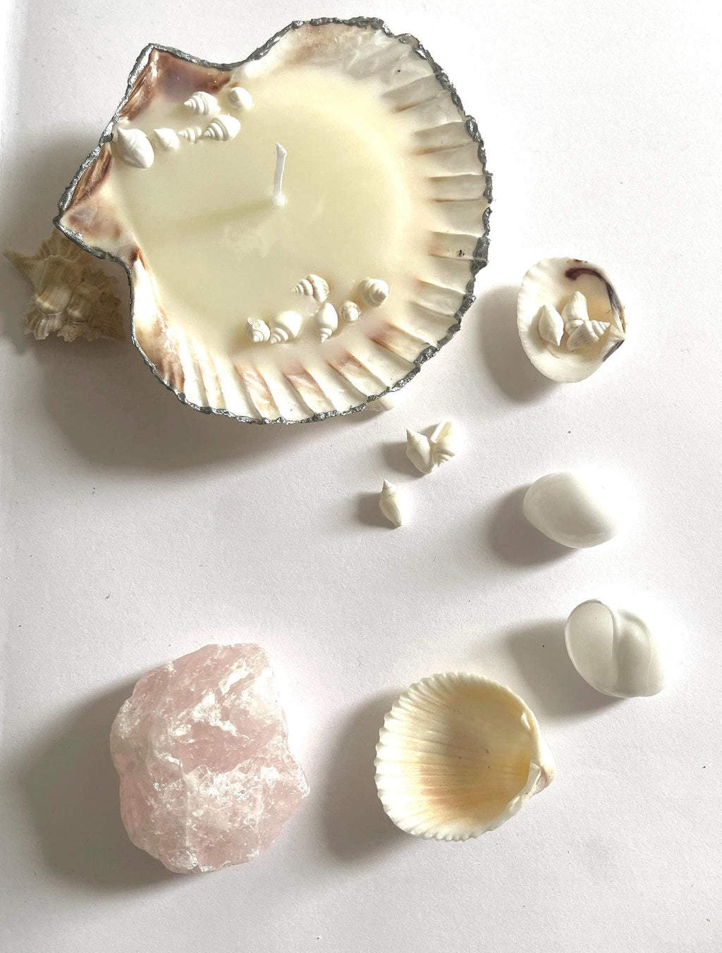 handmade candle, scallop shell