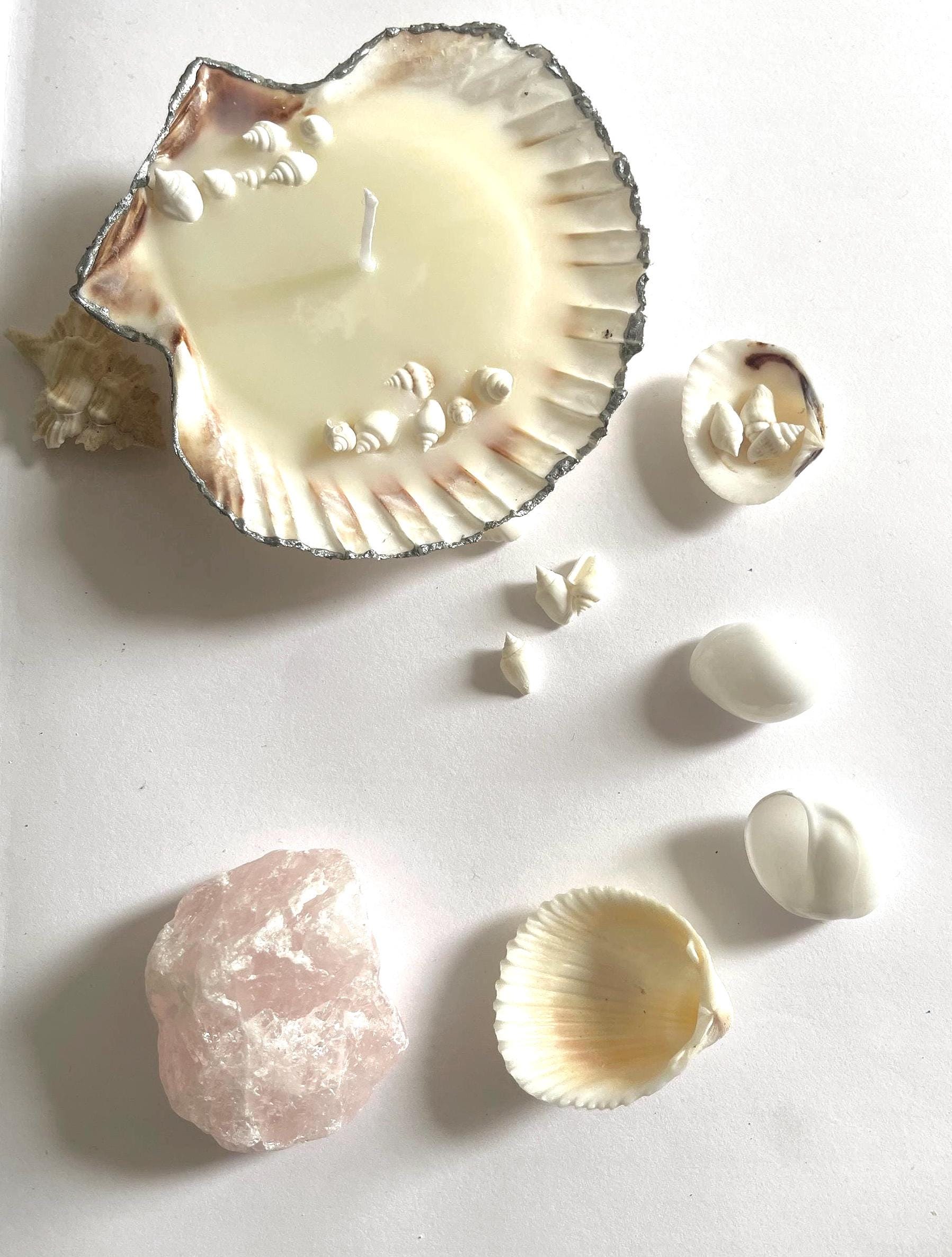 handmade candle, scallop shell