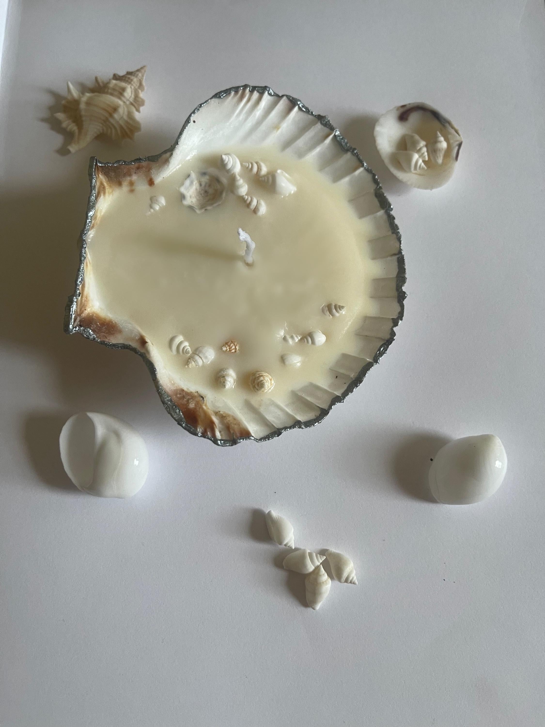 handmade candle, scallop shell