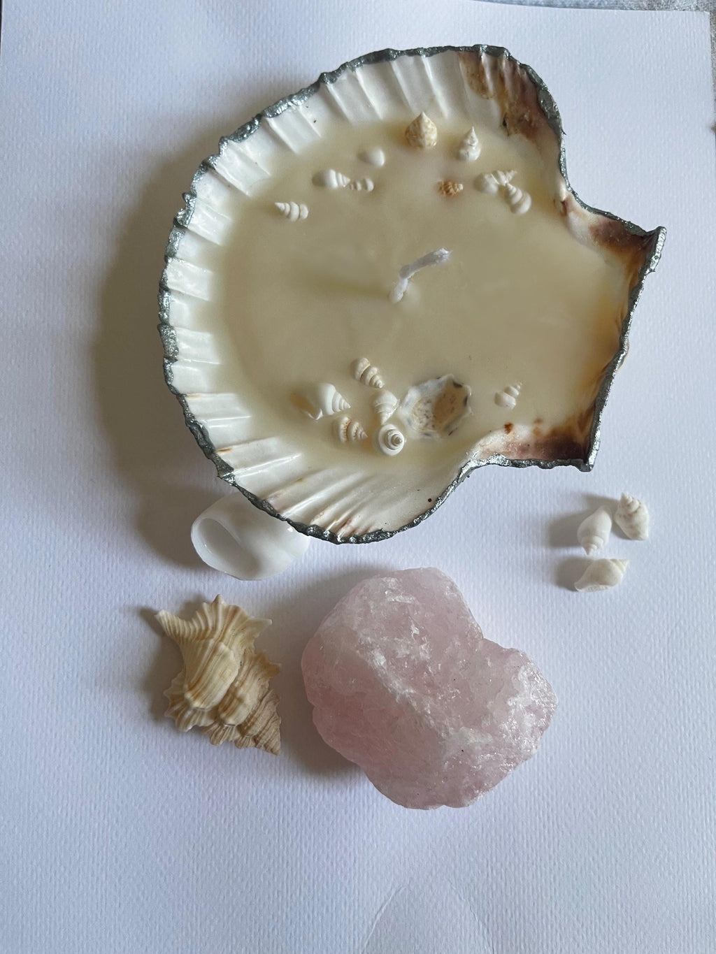 handmade candle, scallop shell