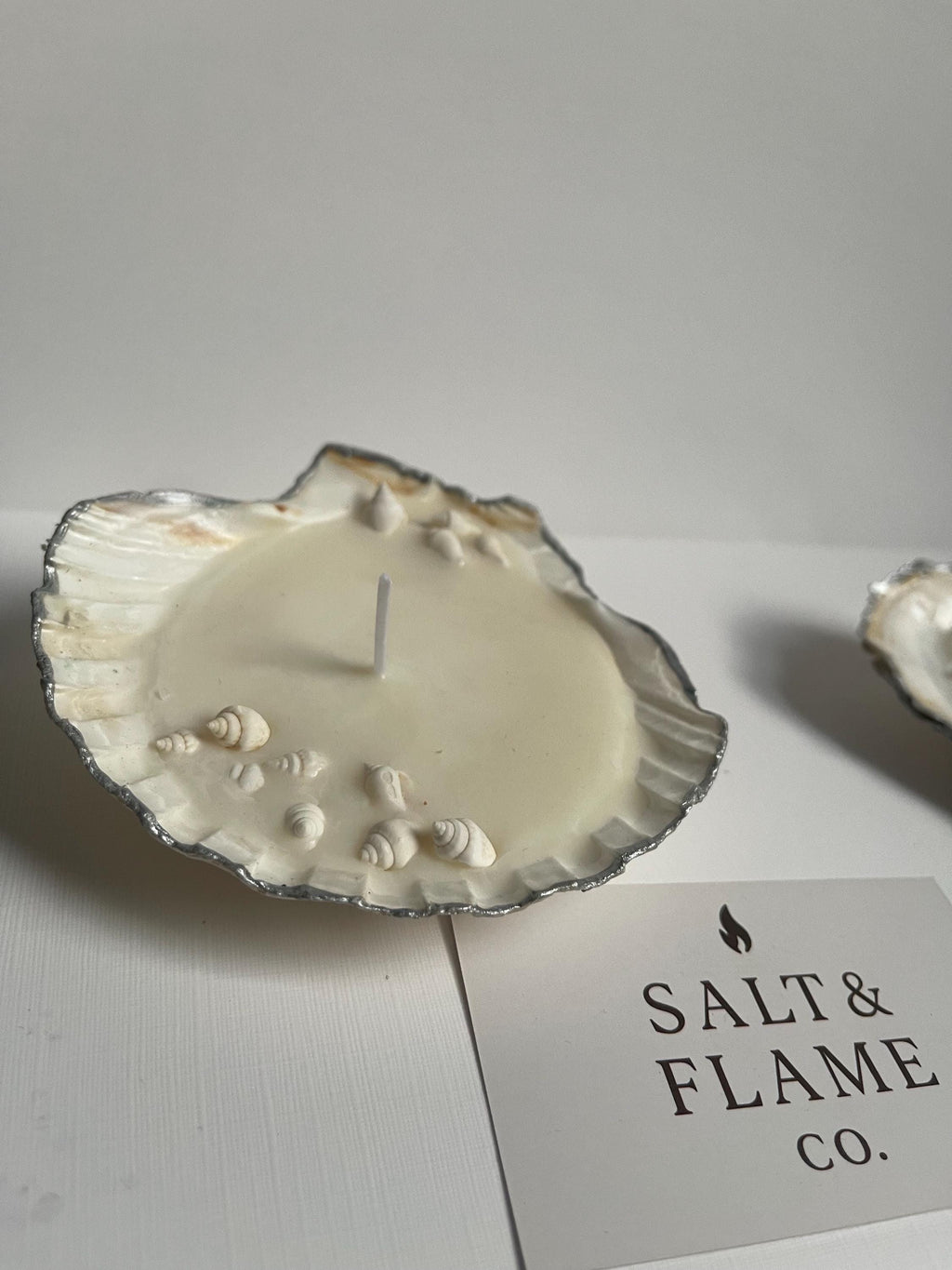 Seashell Candle Gift Set – Oyster & Scallop Pair | Coastal Aesthetic Decor | Handmade Shell Candles | Ocean-Inspired Gift Box