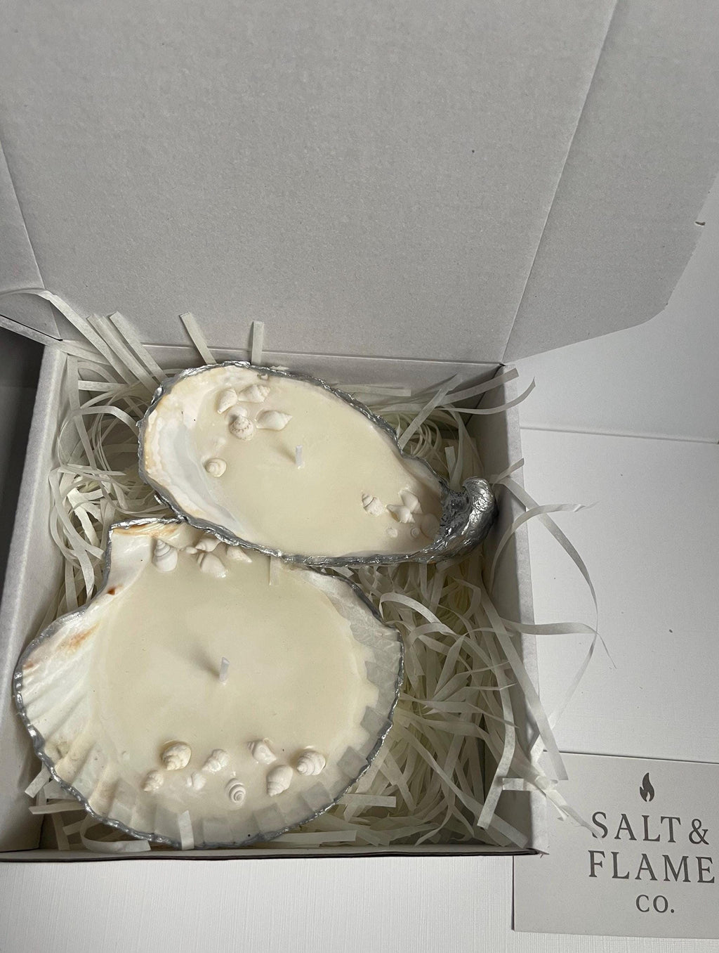 Seashell Candle Gift Set – Oyster & Scallop Pair | Coastal Aesthetic Decor | Handmade Shell Candles | Ocean-Inspired Gift Box