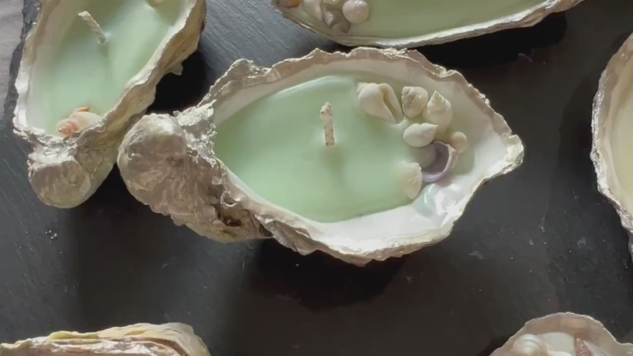 Handmade candles, oyster shells