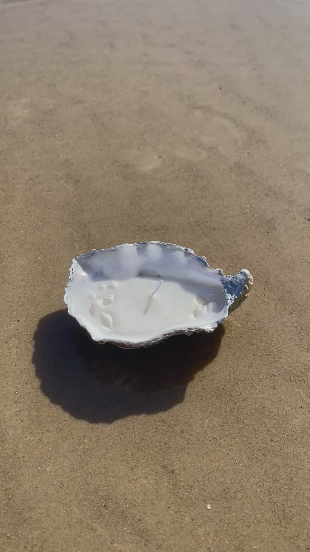 Oyster shell candle